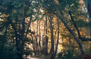 Studio Wilem - Foto 18