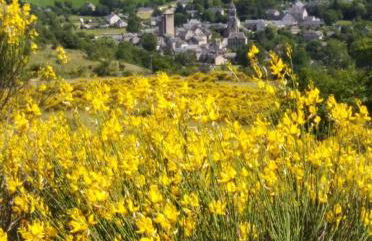 Le gîte de la Vieille Eglise de Coussergues - Photo 44