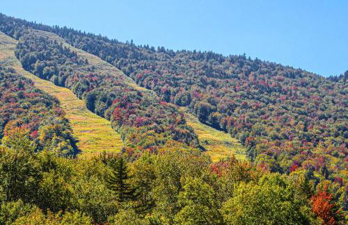 Locke Mountain A6 - Foto 27