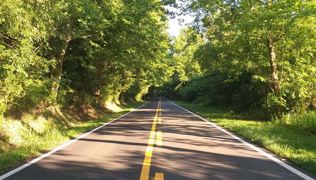 Excursión a Morro Reuter e Ivoti - Foto 2
