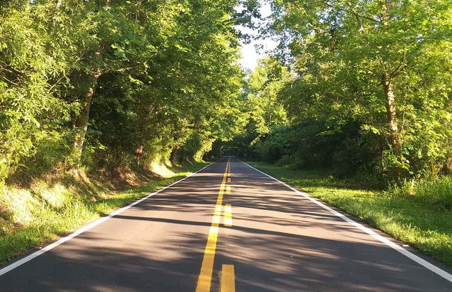 Excursión a Morro Reuter e Ivoti - Foto 2