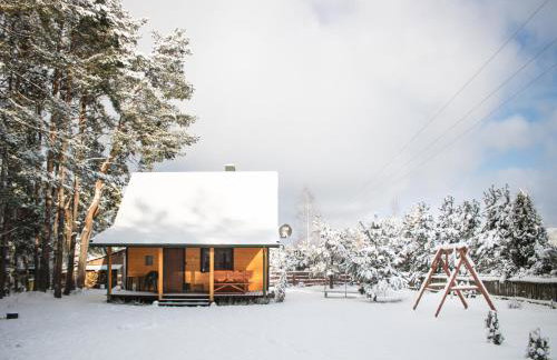 Leśna 21 Dom Południe przy PUSZCZA BIAŁOWIESKA - Foto 58