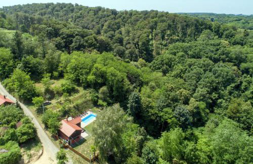 Bakino brdo - Granny's hill - Photo 3