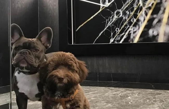 My Story Sopot Apartments - Foto 47