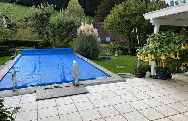 Uitzicht op het Zwembad - Foto 14