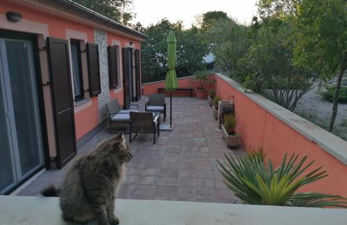 The Forest House Krk 2 - Photo 55