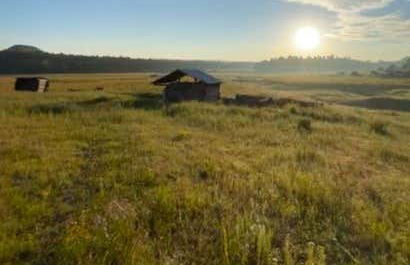 Randonnée dans la forêt de La Chorrera - Photo 3