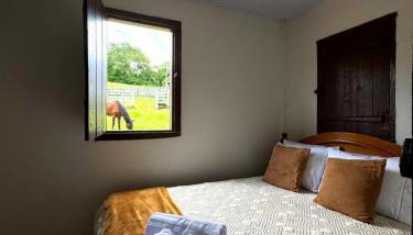 Casa de Campo Pirenópolis - Foto 2