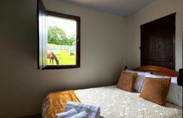 Casa de Campo Pirenópolis - Foto 2