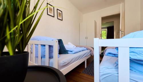 Firmen und Gruppen-Herzlich willkommen -Stadtwohnung mit 3 Schlafzimmer- nahe Münster - Foto 3