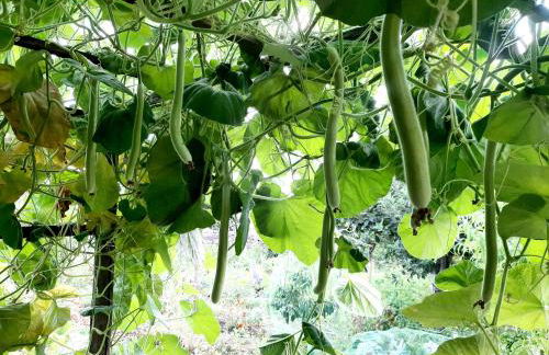 Casa Leopina Apri gli occhi e vola oltre il mare - Foto 39