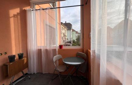 T3 VÉRANDA BUREAU à STRASBOURG - Foto 8