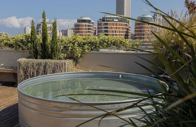 Terasa TLV - Foto 25