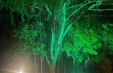 Chalé rural- hospedagem e experiência! - Foto 53