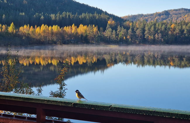 Midtholmen - Foto 21