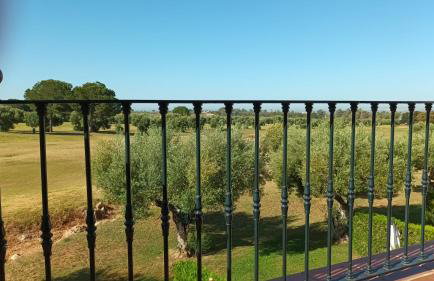 Casa Los Olivos - Foto 27