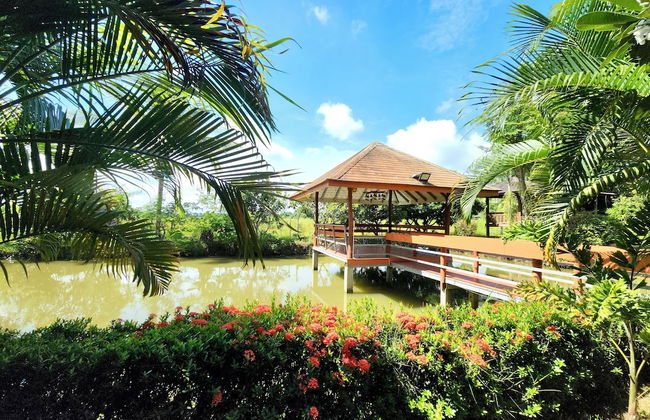 Natura Ravee Greenstay - Photo 72