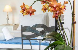 DIMITRA apartment with private pool and sea view -the ground floor of a two storey building - Foto 14