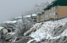 Biznaga Nevada - Foto 38