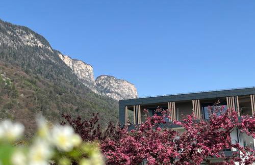 DAS MATSCHER Residence & Garden Hotel - Foto 18