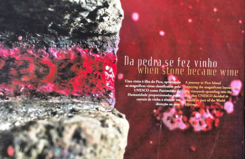 Adega da Prainha - Photo 39