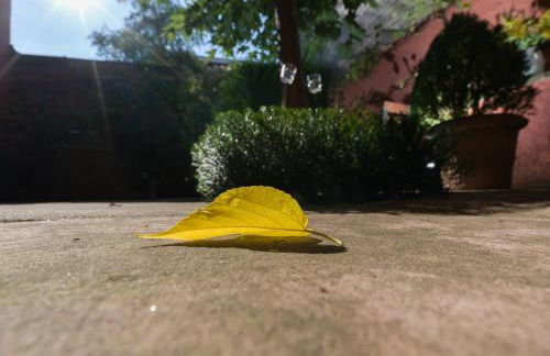 Gästehaus Stadtmitte - Photo 25