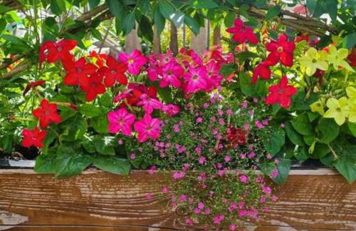 Ferienwohnung Urlaub über den Second Hand Lädchen - Foto 26