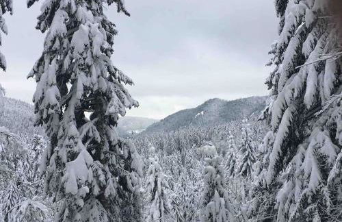 L'appart des familles sportives! - Photo 40