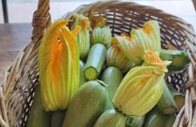 La Pezzuola 53 - Foto 61