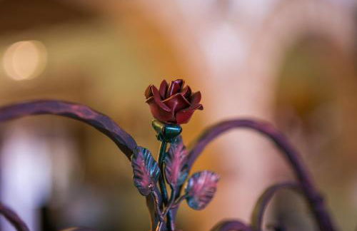 Il Dosso Agriturismo - Foto 14