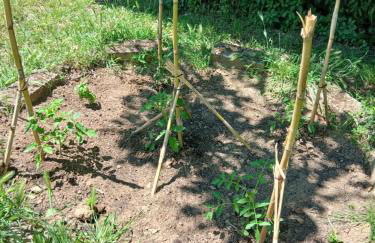 Garden Relax - Foto 27