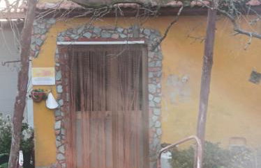 Agriturismo - fattoria didattica Caratozzolo - Foto 13