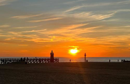 Appartement HOSSEGOR plage SUD Classé 3 étoiles - Foto 61