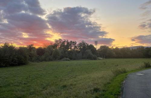 GardenHouse Eschborn - Nähe Messe Frankfurt - Foto 25