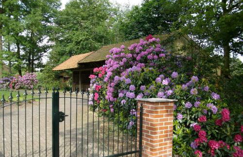 B&B Annabelle - Foto 9