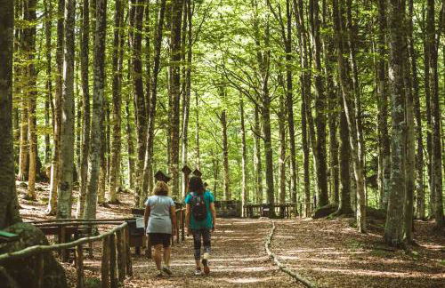 35-Casa Turrini Amiata, Aria condizionata, Val d'Orcia, Toscana, Sport, Natura - Foto 15