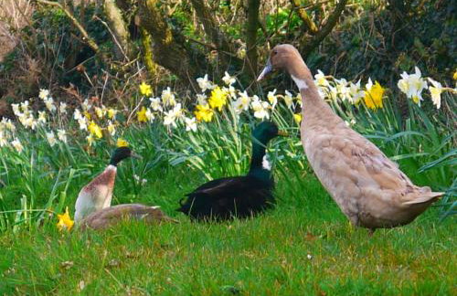 Burton Farmhouse - Foto 25