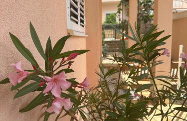 Apartments Zlatka - Photo 1