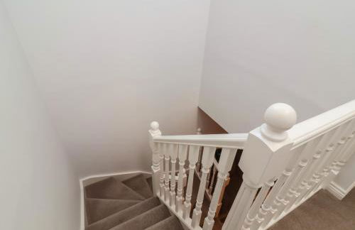 Spring Rose - Foto 19