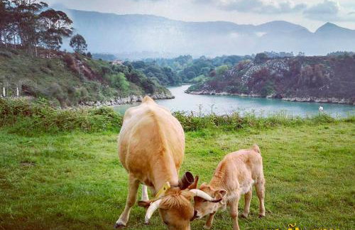 Casa Rural El Ñeru - Foto 17