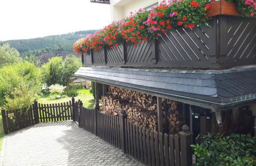 Ferienwohnungen Luge - Winterberg - Foto 7