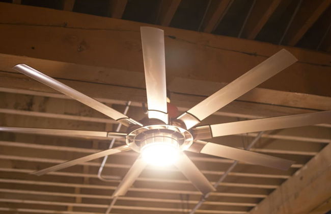 The Botticelli Club - Classic - Foto 4