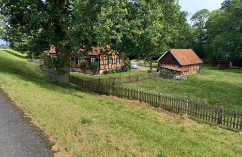 Holiday Home Haus Elbrose inmitten von Rosen mit Elbdeichzugang by Interhome - Foto 9