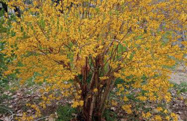 Teramo 1 - Vicino mare e monti - Foto 23