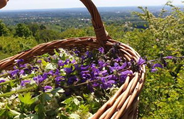 Mountain Villa Carin - Jacuzzi - Panoramic View - 4 Bedrooms - Free Private Parking - Near Zagreb - Photo 40