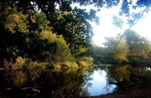 Frome Lodge House - Foto 20