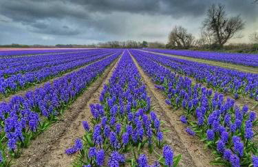 Maison An Ty Göal - Foto 11