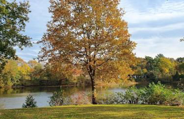 Ferienhaus blauer See mit optionalem Hot-Tub - Foto 22