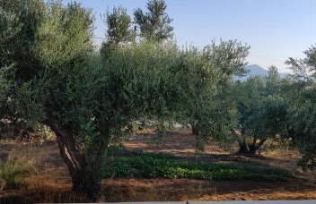 Villa DELTUS - Cozy holiday home near Gortyna - Foto 18