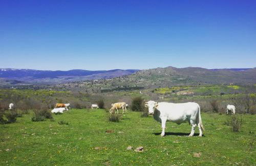 AL VIENTO, Alojamiento & Turismo Rural Horcajuelo - Foto 28